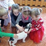 phoca_thumb_m_nvtva 3 Fotogalerie